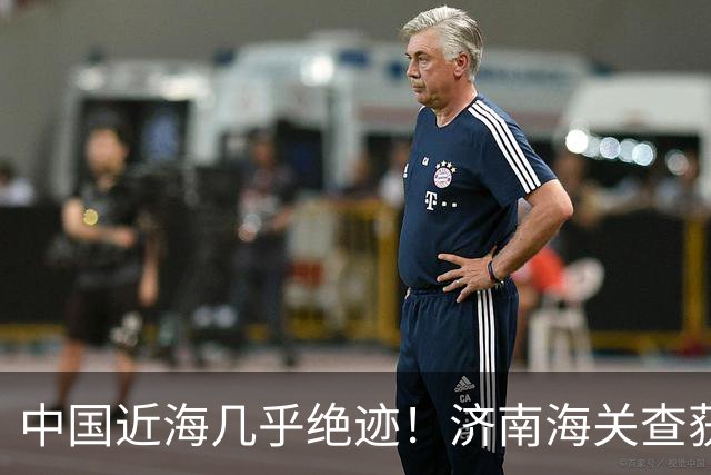 中国近海几乎绝迹！济南海关查获17只手镯，竟是由极危"国宝"制成