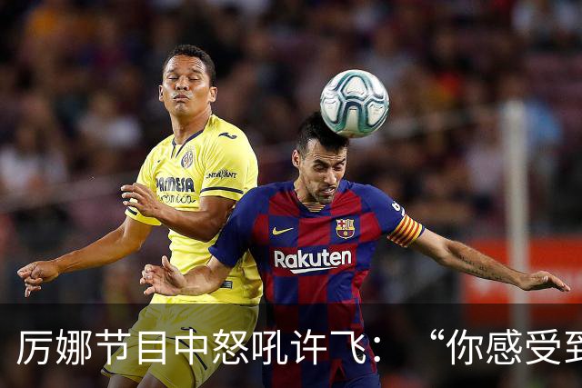 厉娜节目中怒吼许飞：“你感受到的是被宣判，那我所有的经济损失呢？”
