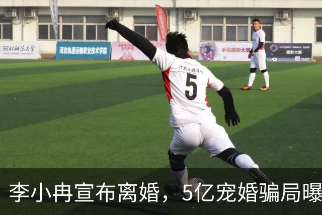 李小冉宣布离婚，5亿宠婚骗局曝光，11年丁克崩盘，郭京飞没说错