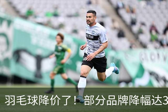 羽毛球降价了！部分品牌降幅达30%