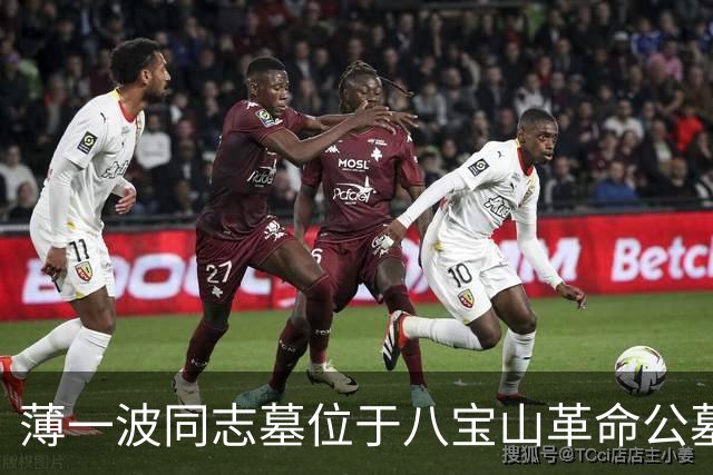薄一波同志墓位于八宝山革命公墓，墓前常年鲜花簇拥萦绕