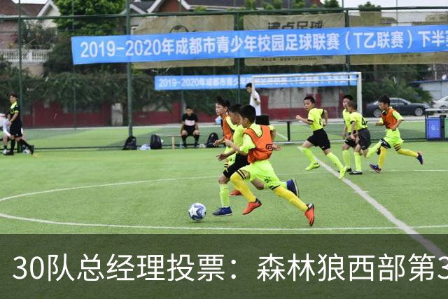 30队总经理投票：森林狼西部第3，却又被选为最难预测