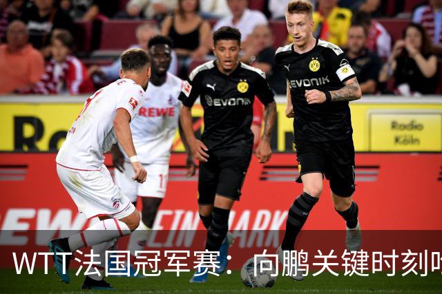 WTT法国冠军赛：向鹏关键时刻吃俩发球，2-3惜败不敌老将奥恰洛夫